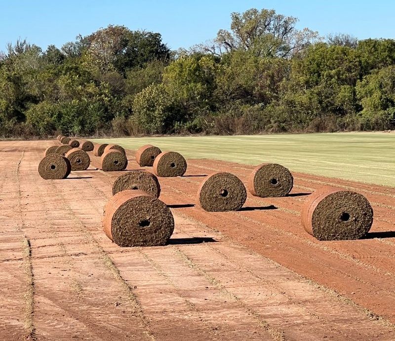 Riverview Sod Ranch field