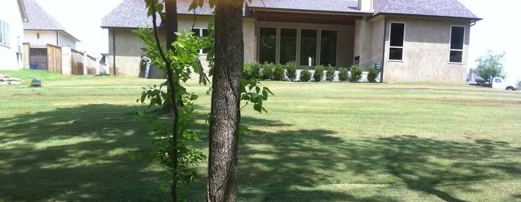 Residential sod installation